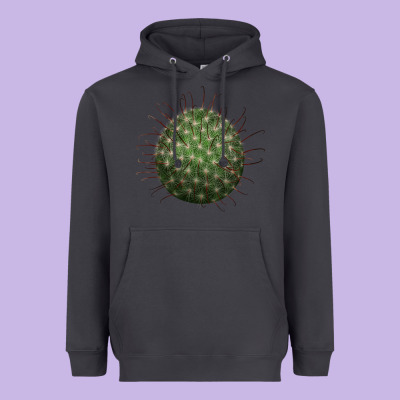 Arizona Fishhook Cactus Heavyweight Hoodie Designed By Lillyallendesigns