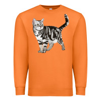 Carrot American Shorthair Cat Premium Sweatshirt - LillyAllenDesigns