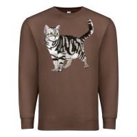 Chestnut American Shorthair Cat Premium Sweatshirt - LillyAllenDesigns