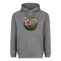 Storm arizona fishhook cactus Heavyweight Hoodie - LillyAllenDesigns