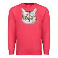Cardinal American Shorthair Cat Face Premium Sweatshirt - LillyAllenDesigns