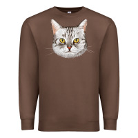 Chestnut American Shorthair Cat Face Premium Sweatshirt - LillyAllenDesigns