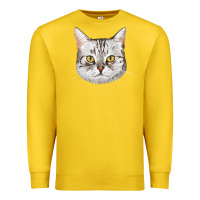 Lemon American Shorthair Cat Face Premium Sweatshirt - LillyAllenDesigns