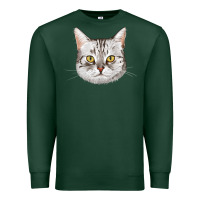 Sports Green American Shorthair Cat Face Premium Sweatshirt - LillyAllenDesigns
