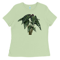 Matcha Amazon Elephant Ear Ladies Tee - LillyAllenDesigns