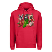 Cardinal french bulldog with christmas socks Premium Hoodie - FaDigitalArtStudio