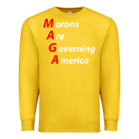 Lemon morons are governing america anti trump political t shirt Premium Sweatshirt - lanVoArt