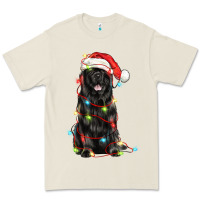 Bone christmas newfoundland dog Premium Tee - LillyAllenDesigns
