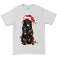 Dove Grey christmas newfoundland dog Premium Tee - LillyAllenDesigns