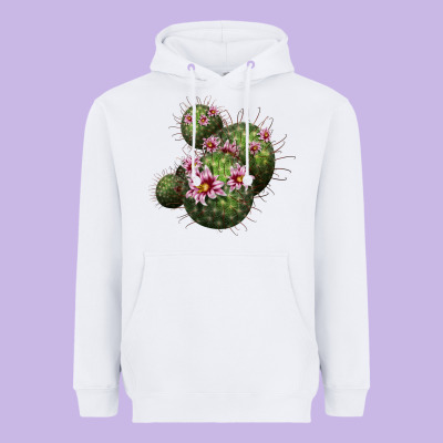 Arizona Fishhook Cacti Heavyweight Hoodie Designed By Lillyallendesigns