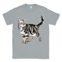 Heather Grey American Shorthair Cat Classic Tee - LillyAllenDesigns