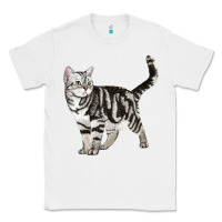 White American Shorthair Cat Classic Tee - LillyAllenDesigns
