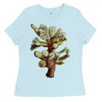 Baby Blue Cholla Tree Cactus Ladies Tee - LillyAllenDesigns