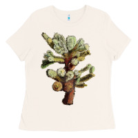 Bone Cholla Tree Cactus Ladies Tee - LillyAllenDesigns