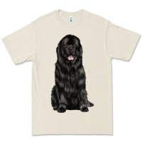 Newfoundland Dog Premium Tee | Teevron