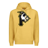 Antique Gold pittsburgh combined sports shirt and sticker Premium Hoodie - lanVoArt