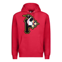 Cardinal pittsburgh combined sports shirt and sticker Premium Hoodie - lanVoArt