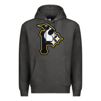 Charcoal Heather pittsburgh combined sports shirt and sticker Premium Hoodie - lanVoArt