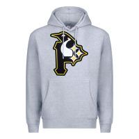 Heather Grey pittsburgh combined sports shirt and sticker Premium Hoodie - lanVoArt