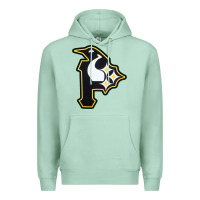 Seafoam pittsburgh combined sports shirt and sticker Premium Hoodie - lanVoArt