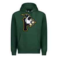 Sports Green pittsburgh combined sports shirt and sticker Premium Hoodie - lanVoArt