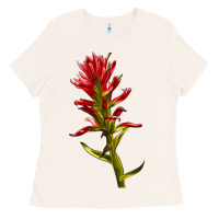 Bone Indian Paintbrush Ladies Tee - LillyAllenDesigns