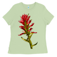Matcha Indian Paintbrush Ladies Tee - LillyAllenDesigns