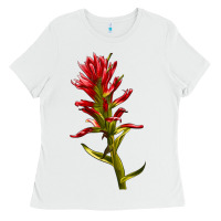White Indian Paintbrush Ladies Tee - LillyAllenDesigns