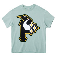 Arona pittsburgh combined sports shirt and sticker Heavy Core Tee - lanVoArt
