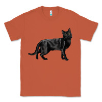 Copper Bombay Cat Classic Tee - LillyAllenDesigns