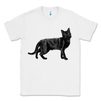 White Bombay Cat Classic Tee - LillyAllenDesigns