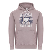 Vintage Zinc Alaska The Last Frontier Vintage Hoodie - lanVoArt
