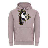 Vintage Zinc pittsburgh combined sports shirt and sticker Vintage Hoodie - lanVoArt