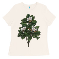 Bone Magnolia Flower Illustrations Ladies Tee - LillyAllenDesigns