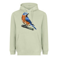 Matcha Eastern Bluebird Heavyweight Hoodie - LillyAllenDesigns