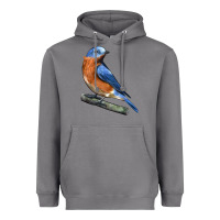 Storm Eastern Bluebird Heavyweight Hoodie - LillyAllenDesigns