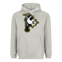 Moon Dust pittsburgh combined sports shirt and sticker Heavyweight Hoodie - lanVoArt