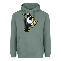Sage pittsburgh combined sports shirt and sticker Heavyweight Hoodie - lanVoArt