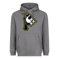 Storm pittsburgh combined sports shirt and sticker Heavyweight Hoodie - lanVoArt