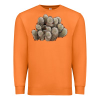 Carrot brown flowered cactus Premium Sweatshirt - LillyAllenDesigns