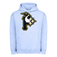 Pittsburgh Combined Sports Shirt And Sticker Urban Hoodie | Teevron