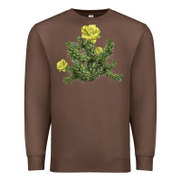 Chestnut whipple cholla cactus Premium Sweatshirt - LillyAllenDesigns