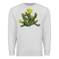 Dove Grey whipple cholla cactus Premium Sweatshirt - LillyAllenDesigns