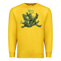 Lemon whipple cholla cactus Premium Sweatshirt - LillyAllenDesigns