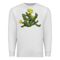 Oatmeal Heather whipple cholla cactus Premium Sweatshirt - LillyAllenDesigns