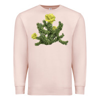 Pale Pink whipple cholla cactus Premium Sweatshirt - LillyAllenDesigns