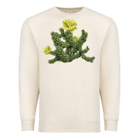 Sandshell whipple cholla cactus Premium Sweatshirt - LillyAllenDesigns