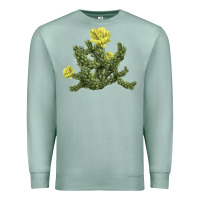Seafoam whipple cholla cactus Premium Sweatshirt - LillyAllenDesigns