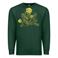 Sports Green whipple cholla cactus Premium Sweatshirt - LillyAllenDesigns