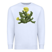 White whipple cholla cactus Premium Sweatshirt - LillyAllenDesigns